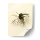 Macro Señuelo Iii - Judy Stalus | Cuadro decorativo de Canvas Lab