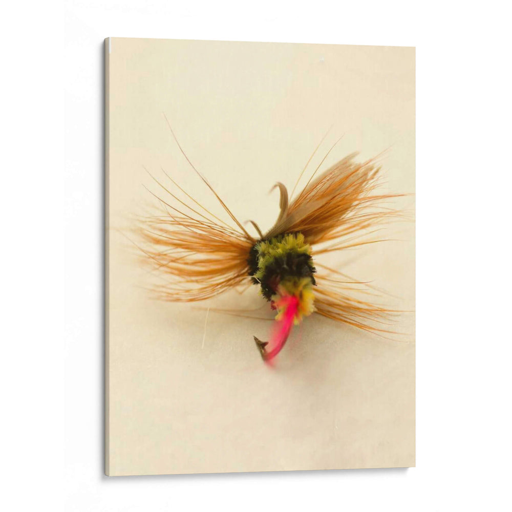 Macro Señuelo Iv - Judy Stalus | Cuadro decorativo de Canvas Lab