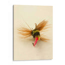 Macro Señuelo Iv - Judy Stalus | Cuadro decorativo de Canvas Lab