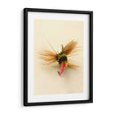 Macro Señuelo Iv - Judy Stalus | Cuadro decorativo de Canvas Lab