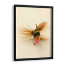 Macro Señuelo Iv - Judy Stalus | Cuadro decorativo de Canvas Lab