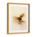 Macro Señuelo Iv - Judy Stalus | Cuadro decorativo de Canvas Lab
