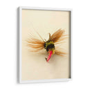 Macro Señuelo Iv - Judy Stalus | Cuadro decorativo de Canvas Lab