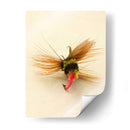 Macro Señuelo Iv - Judy Stalus | Cuadro decorativo de Canvas Lab