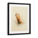 Macro Señuelo V - Judy Stalus | Cuadro decorativo de Canvas Lab