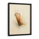 Macro Señuelo V - Judy Stalus | Cuadro decorativo de Canvas Lab