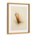 Macro Señuelo V - Judy Stalus | Cuadro decorativo de Canvas Lab