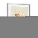 Macro Señuelo V - Judy Stalus | Cuadro decorativo de Canvas Lab