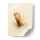 Macro Señuelo V - Judy Stalus | Cuadro decorativo de Canvas Lab