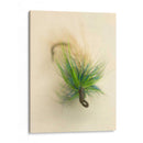 Macro Señuelo Vi - Judy Stalus | Cuadro decorativo de Canvas Lab