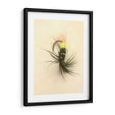 Macro Señuelo Vii - Judy Stalus | Cuadro decorativo de Canvas Lab