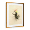 Macro Señuelo Vii - Judy Stalus | Cuadro decorativo de Canvas Lab