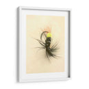 Macro Señuelo Vii - Judy Stalus | Cuadro decorativo de Canvas Lab