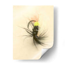 Macro Señuelo Vii - Judy Stalus | Cuadro decorativo de Canvas Lab