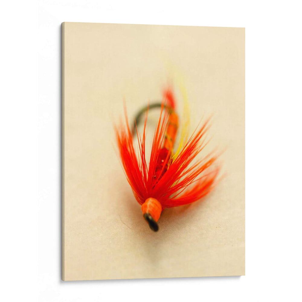 Macro Señuelo Viii - Judy Stalus | Cuadro decorativo de Canvas Lab