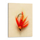 Macro Señuelo Viii - Judy Stalus | Cuadro decorativo de Canvas Lab