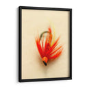 Macro Señuelo Viii - Judy Stalus | Cuadro decorativo de Canvas Lab