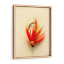 Macro Señuelo Viii - Judy Stalus | Cuadro decorativo de Canvas Lab