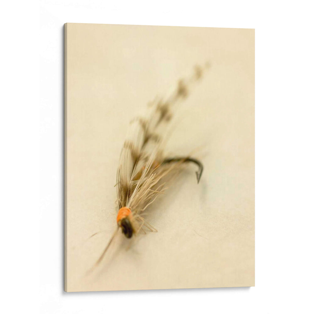 Macro Señuelo Ix - Judy Stalus | Cuadro decorativo de Canvas Lab