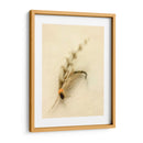 Macro Señuelo Ix - Judy Stalus | Cuadro decorativo de Canvas Lab