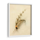 Macro Señuelo Ix - Judy Stalus | Cuadro decorativo de Canvas Lab