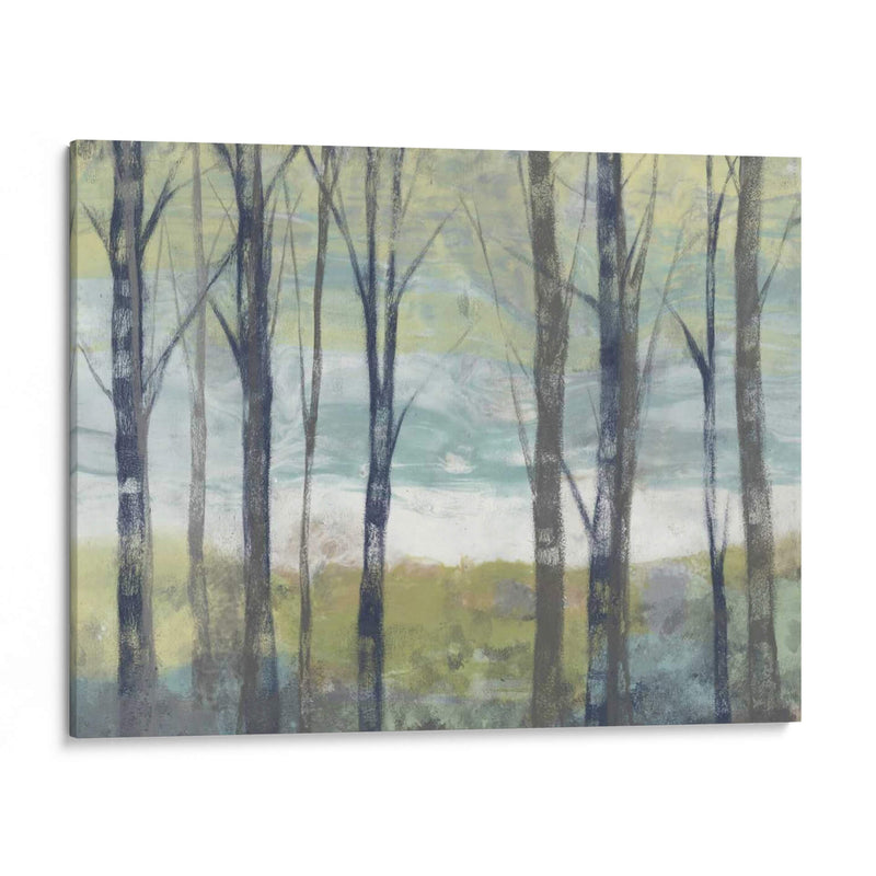 Birches Pastel Ii - Jennifer Goldberger | Cuadro decorativo de Canvas Lab