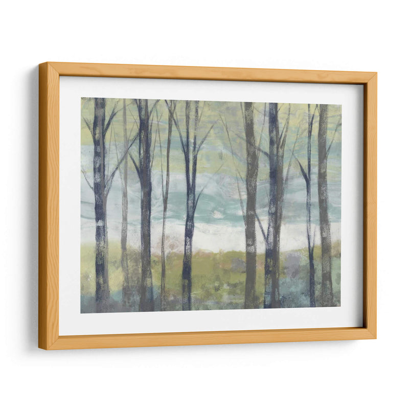 Birches Pastel Ii - Jennifer Goldberger | Cuadro decorativo de Canvas Lab