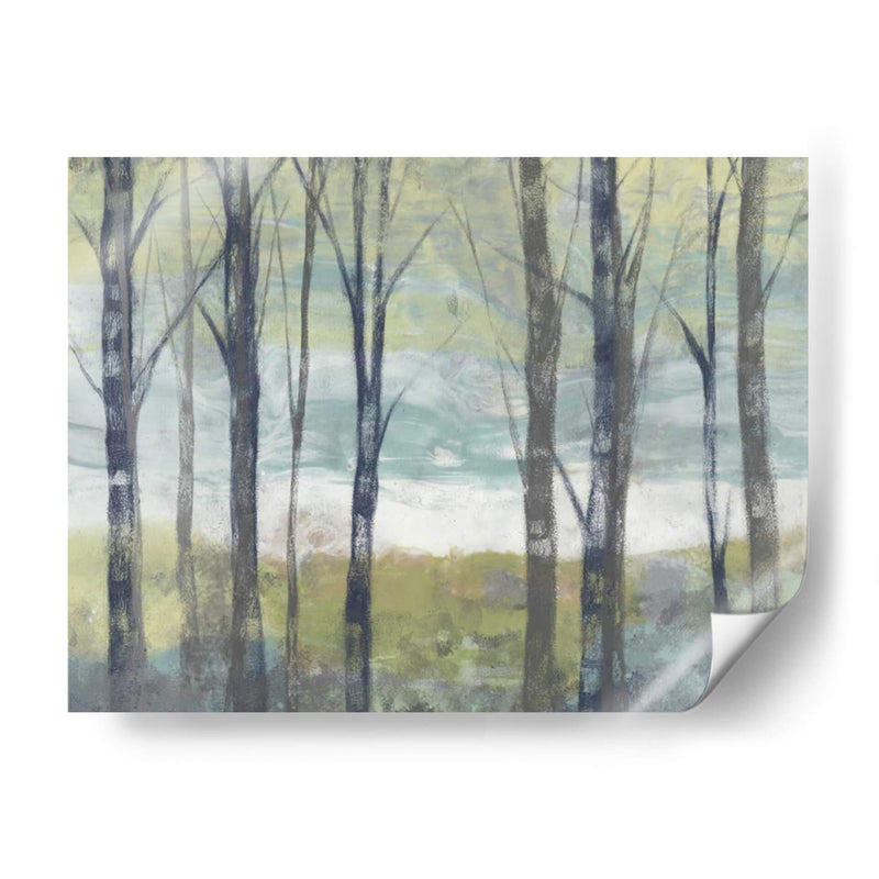 Birches Pastel Ii - Jennifer Goldberger | Cuadro decorativo de Canvas Lab