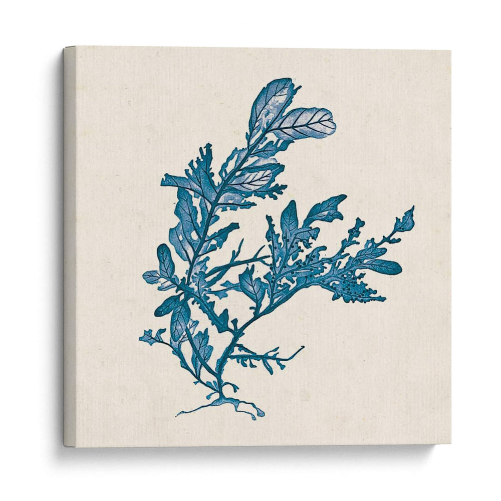 Indigo Algae Iii - Jennifer Goldberger | Cuadro decorativo de Canvas Lab