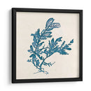 Indigo Algae Iii - Jennifer Goldberger | Cuadro decorativo de Canvas Lab