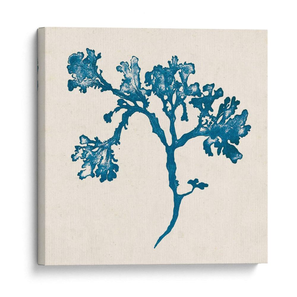 Indigo Algae Iv - Jennifer Goldberger | Cuadro decorativo de Canvas Lab