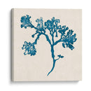 Indigo Algae Iv - Jennifer Goldberger | Cuadro decorativo de Canvas Lab