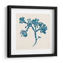 Indigo Algae Iv - Jennifer Goldberger | Cuadro decorativo de Canvas Lab