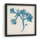 Indigo Algae Iv - Jennifer Goldberger | Cuadro decorativo de Canvas Lab