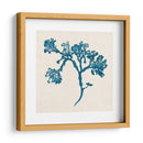 Indigo Algae Iv - Jennifer Goldberger | Cuadro decorativo de Canvas Lab