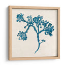 Indigo Algae Iv - Jennifer Goldberger | Cuadro decorativo de Canvas Lab