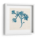 Indigo Algae Iv - Jennifer Goldberger | Cuadro decorativo de Canvas Lab