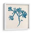 Indigo Algae Iv - Jennifer Goldberger | Cuadro decorativo de Canvas Lab