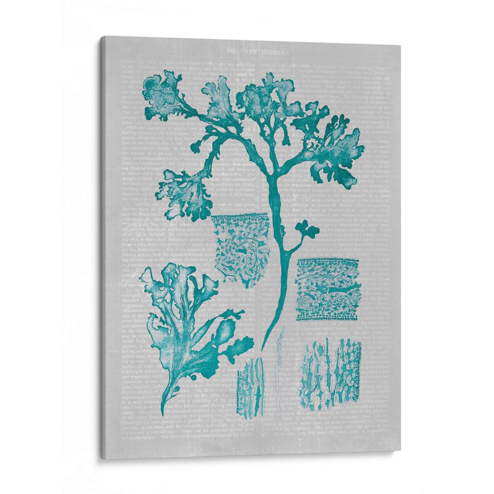 Coral Teal I - Jennifer Goldberger | Cuadro decorativo de Canvas Lab