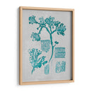 Coral Teal I - Jennifer Goldberger | Cuadro decorativo de Canvas Lab