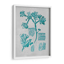 Coral Teal I - Jennifer Goldberger | Cuadro decorativo de Canvas Lab