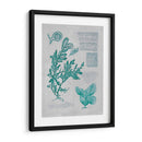 Teal Coral Ii - Jennifer Goldberger | Cuadro decorativo de Canvas Lab
