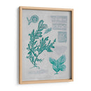 Teal Coral Ii - Jennifer Goldberger | Cuadro decorativo de Canvas Lab