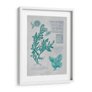 Teal Coral Ii - Jennifer Goldberger | Cuadro decorativo de Canvas Lab