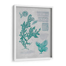 Teal Coral Ii - Jennifer Goldberger | Cuadro decorativo de Canvas Lab
