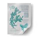 Teal Coral Ii - Jennifer Goldberger | Cuadro decorativo de Canvas Lab