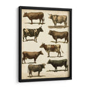 Carta De Vaca Antigua - Vision Studio | Cuadro decorativo de Canvas Lab