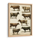 Carta De Vaca Antigua - Vision Studio | Cuadro decorativo de Canvas Lab