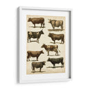 Carta De Vaca Antigua - Vision Studio | Cuadro decorativo de Canvas Lab