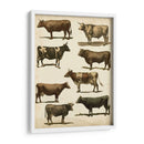 Carta De Vaca Antigua - Vision Studio | Cuadro decorativo de Canvas Lab